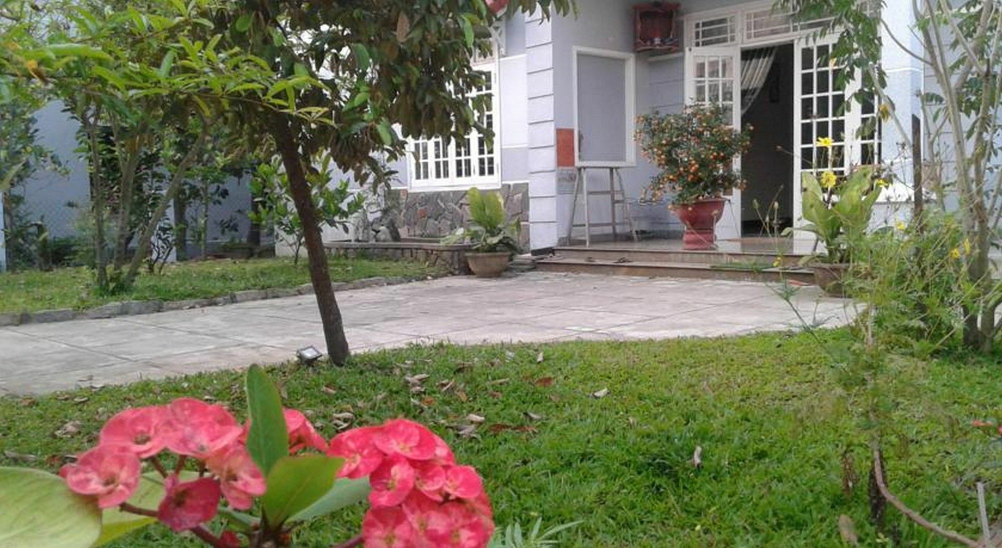 Gingergrass Homestay Hoi An Exterior foto